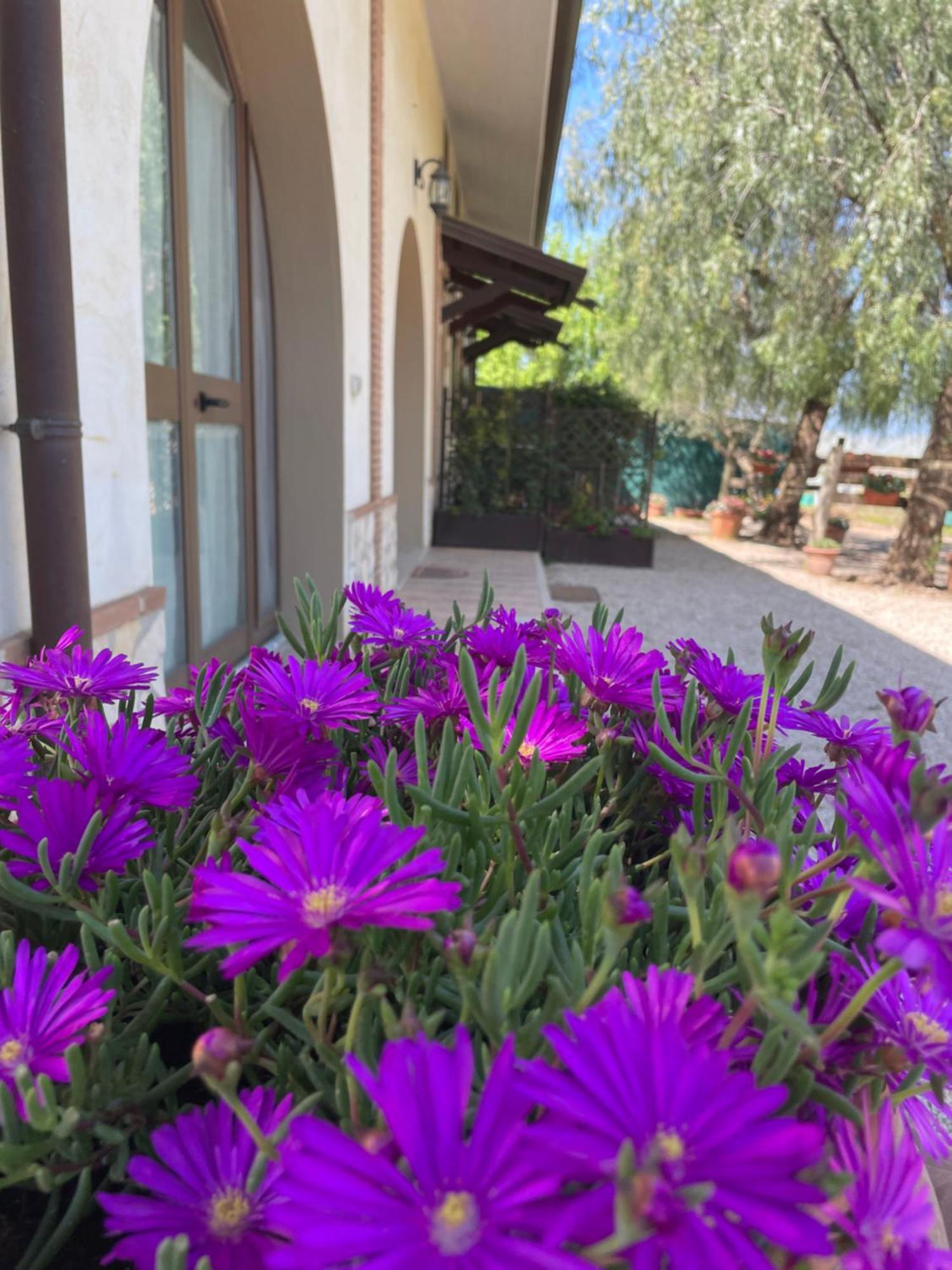 La Lestra Villa San Felice Circeo Dış mekan fotoğraf